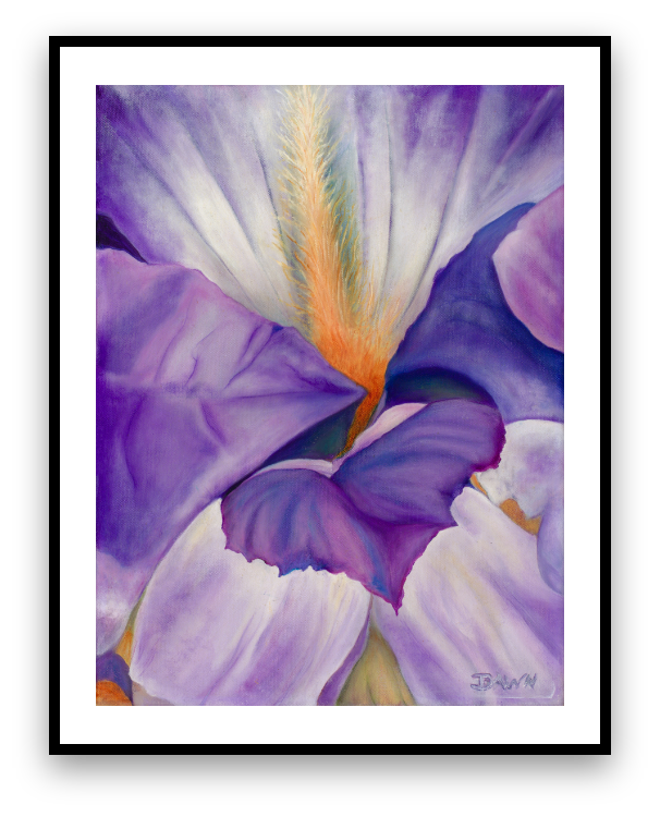 Purple Iris – A Dawning Art